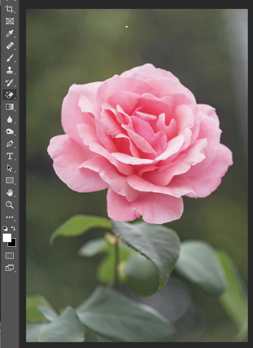 How to Remove Background in Photoshop: Step-by-Step Guide