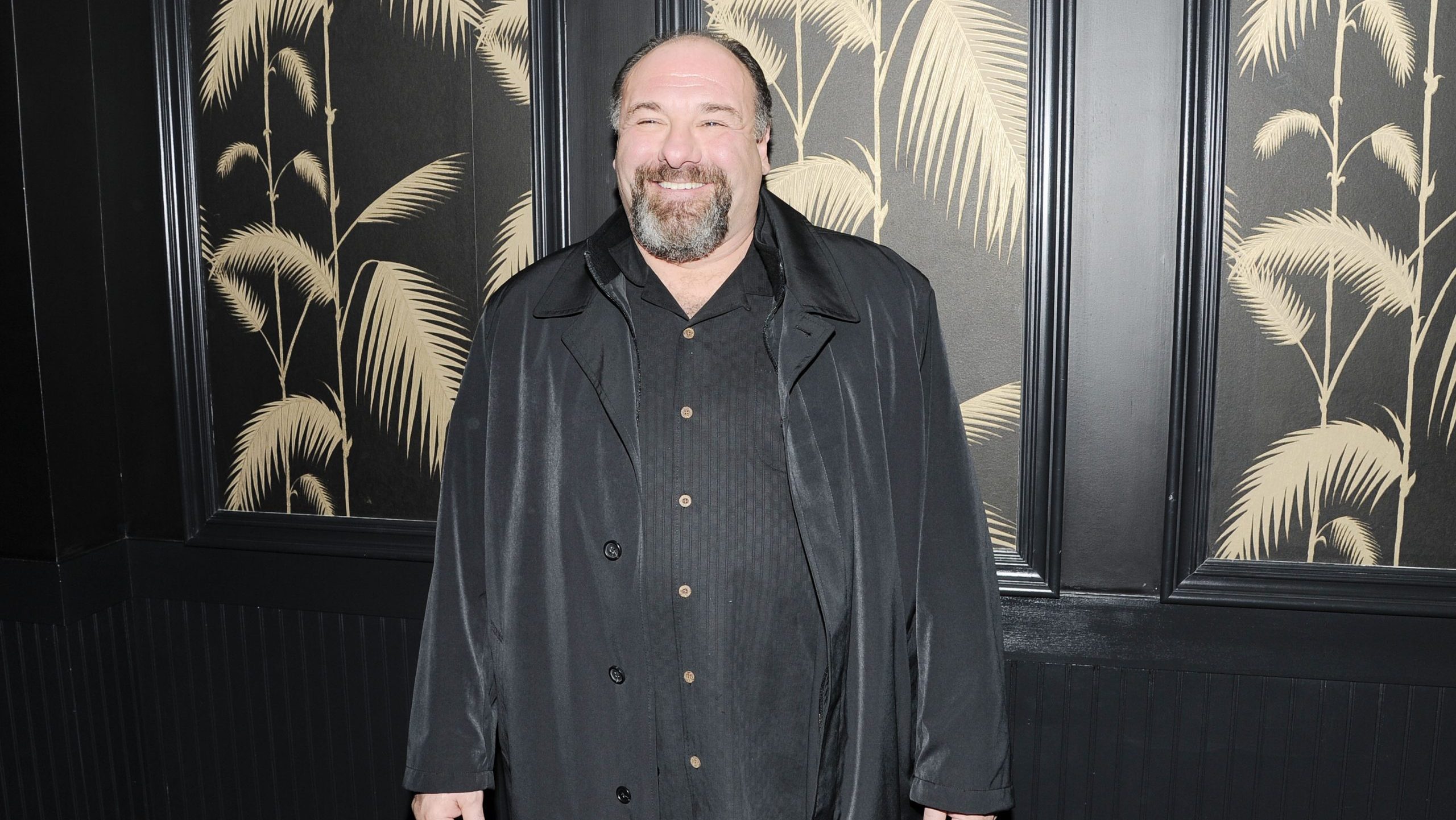 James Gandolfini: Biography of Beloved Icon with 3 Emmys
