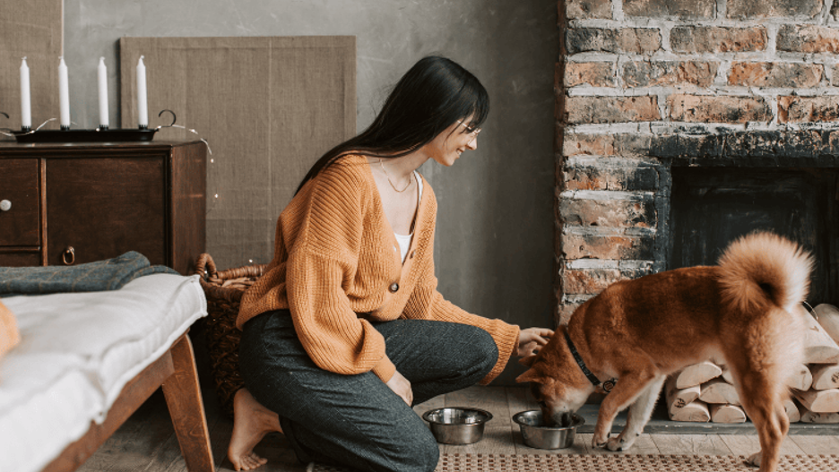 The Modern Socialite’s Guide to Keeping Dogs Healthy and Happy