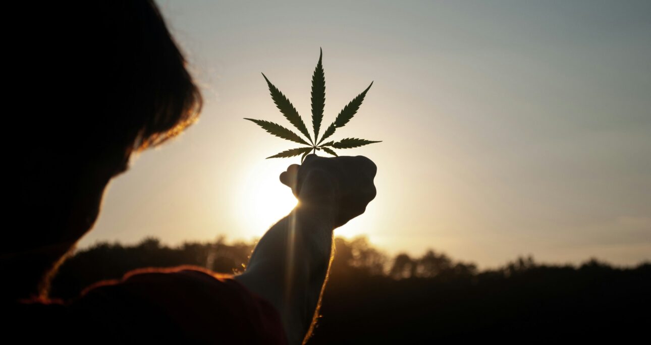 When Should Patients in Jacksonville Avoid Consuming Too Much Cannabis?