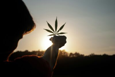 When Should Patients in Jacksonville Avoid Consuming Too Much Cannabis?