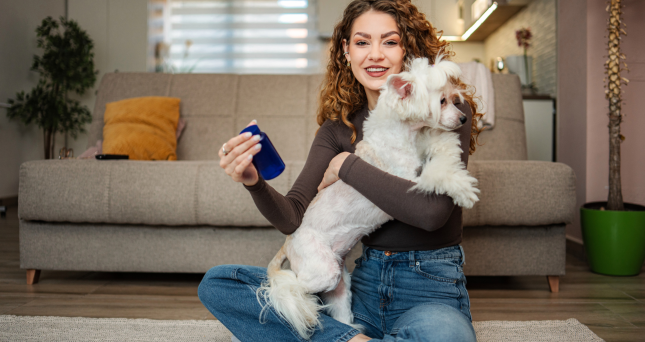 5 Features to Look for in the Best Mushroom Supplement for Dogs 