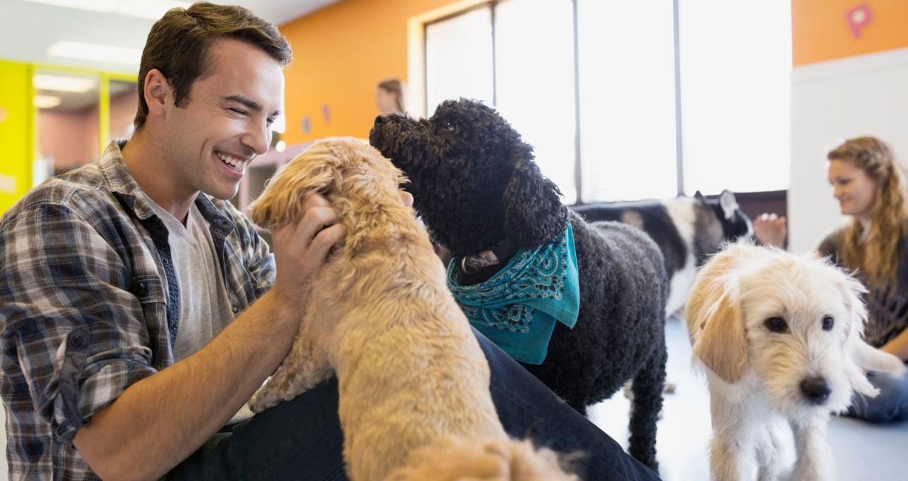 7 Wellness Essentials Every Pet Parent Should Know About