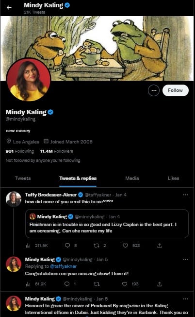 Mindy Kaling Personal Branding