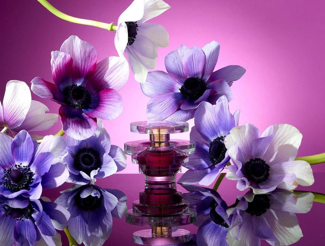 Hope Fragrances New Scent Hope Night Parfum
