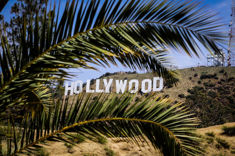 Hollywood Gossip