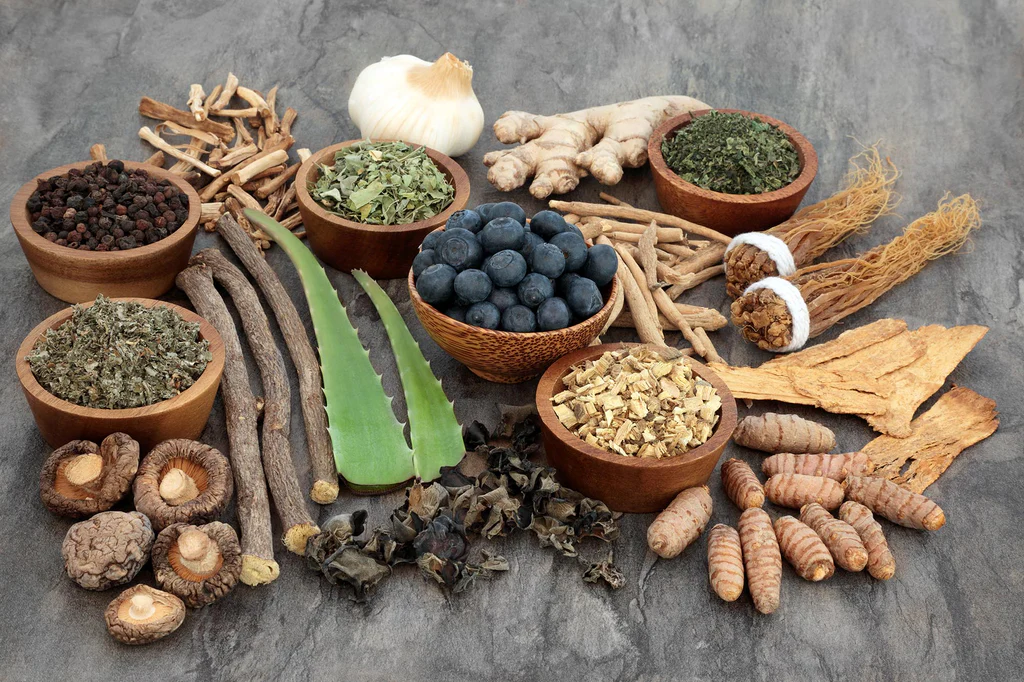 adaptogens for stress relief
