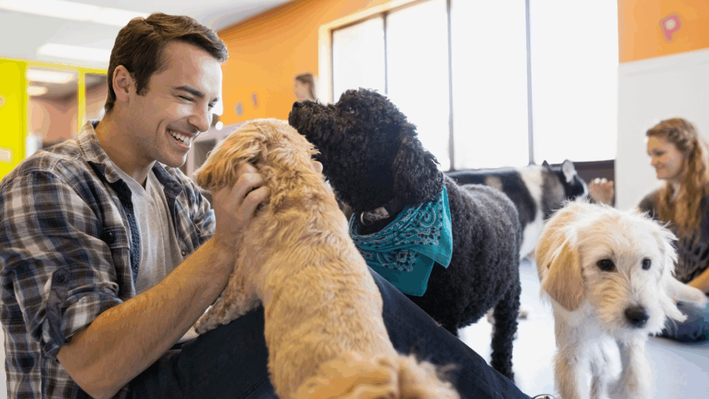 Doggy Daycare