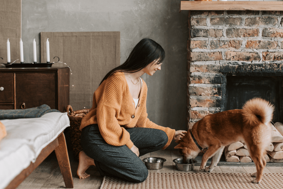 Lady with a Dog