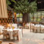 Restaurants Near Me: The Ultimate 2026 Guide to Finding Delicious, Affordable, and Highly-Rated Dining Options