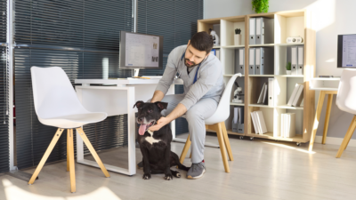 Why Your Dog Is Stiff After Naps (And What Helps)